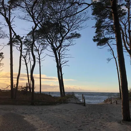 Dom wakacyjny Wolff *